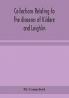 Collections relating to the dioceses of Kildare and Leighlin