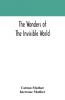 The wonders of the invisible world