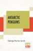 Antarctic Penguins