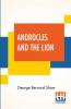 Androcles And The Lion