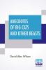 Anecdotes Of Big Cats And Other Beasts