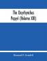 The Oxyrhynchus papyri (Volume XIII)