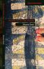 Feminist Theory After Deleuze