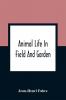 Animal Life In Field And Garden