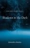 Shadows in the Dark.: to see unseen one must close eyes...