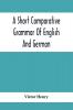 A Short Comparative Grammar Of English And German