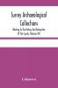 Surrey Archaeological Collections; Relating To The History And Antiquities Of The County (Volume Vii)