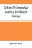 Outlines Of Comparative Anatomy And Medical Zoology