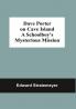 Dave Porter On Cave Island A Schoolboy'S Mysterious Mission