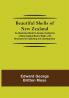 Beautiful Shells of New Zealand; An Illustrated Work for Amateur Collectors of New Zealand Marine Shells with Directions for Collecting and Cleaning them