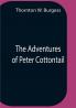 The Adventures Of Peter Cottontail