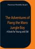 The Adventures Of Piang The Moro Jungle Boy; A Book For Young And Old