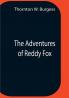 The Adventures Of Reddy Fox