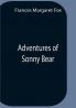 Adventures Of Sonny Bear