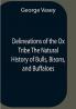 Delineations Of The Ox Tribe The Natural History Of Bulls Bisons And Buffaloes. Exhibiting All The Known Species And The More Remarkable Varieties Of The Genus Bos.