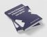 The Son of Clemenceau A Novel of Modern Love and Life