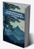 The Demon Trapper of Umbagog: A Thrilling Tale of the Maine Forests