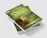 The Adventures of Tom Sawyer and The Jungle Book