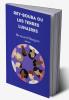 Rey-Bouba Ou Les Terres Lunaires
