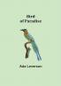 Bird of Paradise