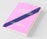 The Essays Of Arthur Schopenhauer; The Art Of Controversy