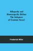 Allopathy And Homoeopathy Before The Judgment Of Common Sense!