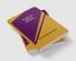 The Doctor's Dilemma: Preface on Doctors
