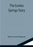 The Eureka Springs Story