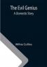 The Evil Genius: A Domestic Story