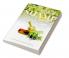 SHAMI AN EFFECTIVE AYURVEDIC DRUG TO REMOVE UNWANTED HAIR