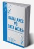 Data Lakes vs Data Wells: Which is the Best Fit for Your FMCG Business