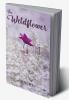 The Wildflower