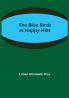 The Blue Birds at Happy Hills