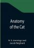 Anatomy of the Cat