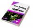 Web Testing with Cypress