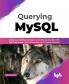 Querying MySQL