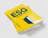Essence of ESG: A Practitioner's Perspective