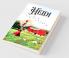 Heidi: Magical Story in the Alps of Switzerland