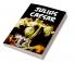 Julius Caesar: Shakespeare’s Play on Deception and Revenge