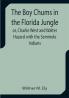 The Boy Chums in the Florida Jungle or Charlie West and Walter Hazard with the Seminole Indians