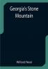 Georgia's Stone Mountain