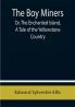 The Boy Miners; Or The Enchanted Island A Tale of the Yellowstone Country