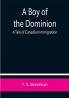 A Boy of the Dominion: A Tale of Canadian Immigration
