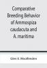 Comparative Breeding Behavior of Ammospiza caudacuta and A. maritima