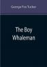 The Boy Whaleman