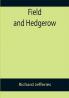 Field and Hedgerow