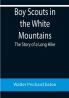 Boy Scouts in the White Mountains: The Story of a Long Hike