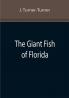 The Giant Fish of Florida