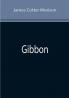 Gibbon