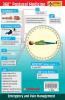 360° Postural Medicine